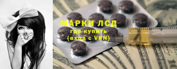 apvp Алзамай