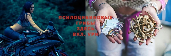 эйфоретик Алексеевка