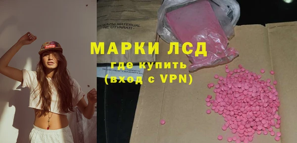 apvp Алзамай