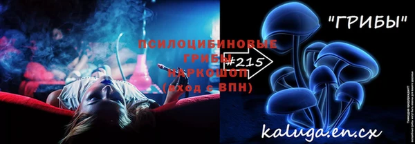 apvp Алзамай