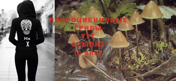 эйфоретик Алексеевка