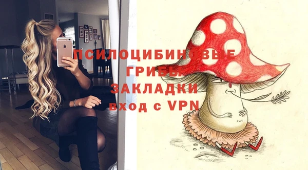 скорость Алексин