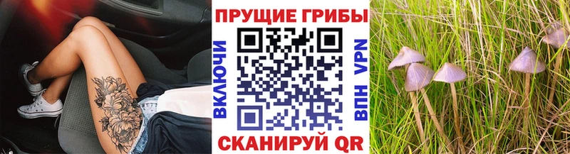 Псилоцибиновые грибы прущие грибы  Ленинск 